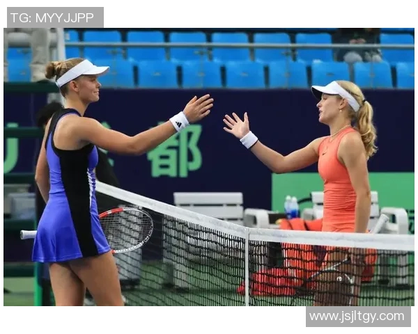 杭州网球队总决赛表现评析：经验与实力的完美结合