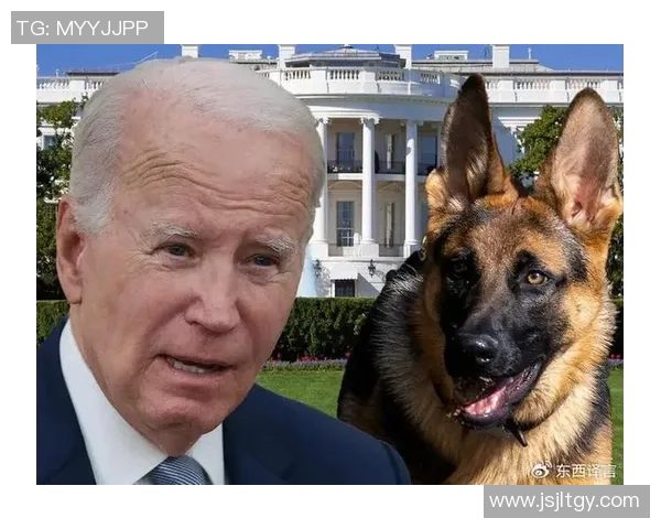 足球明星们的爱犬大揭秘:你不知道的明星与狗狗的温馨故事 足球明星们的爱犬大揭秘:你不知道的明星与狗狗的温馨故事