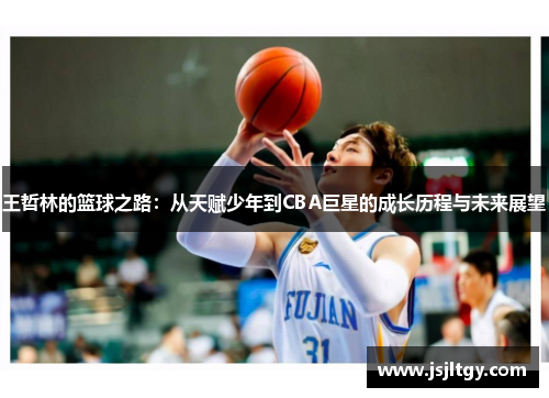 王哲林的篮球之路：从天赋少年到CBA巨星的成长历程与未来展望